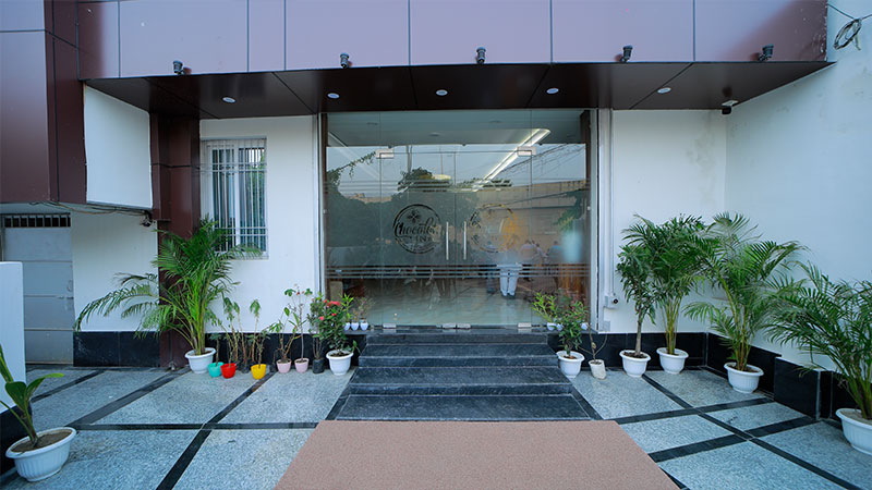 Dolphin Chocolate Inn